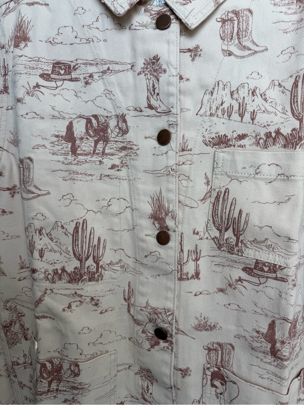 Altar'd State Beige Scenic-Print Button Jacket - Picture 5 of 10